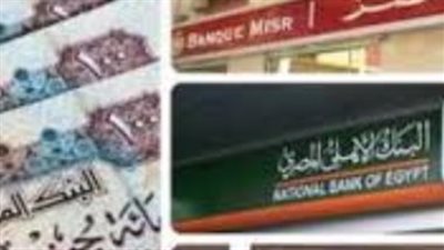 تجميد أم استثمار؟ العائد الذي يحققه مبلغ 250 ألف جنيه في شهادة الـ 17% على مدار 36 شهرًا