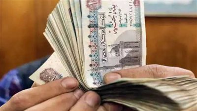 نموذج مقترح: استثمار 100 ألف جنيه يحقق دخلًا شهريًا وفرصة نمو رأسمالي بقيمة 18 ألف جنيه