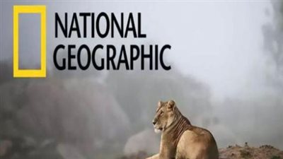 خطوات تثبيت تردد ناشيونال جيوغرافيك على نايل سات وعرب سات (تحديث 2026)