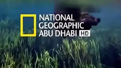 تردد قناة ناشيونال جيوغرافيك 24 ساعة: التردد ومعدل الترميز لضمان جودة HD