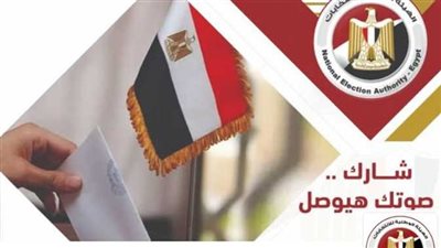 موعد المرحلة الثانية لانتخابات مجلس النواب المصري 2025.. كيفية التصويت