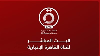 شاهد.. النتيجة الرسمية للمرحلة الأولي من انتخابات مجلس النواب 2025.. القاهرة الإخبارية| AlQahera News Live Stream