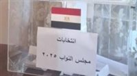 احذر من الأخطاء: حالات تؤدي لبطلان صوتك في انتخابات مجلس النواب المصري 2025