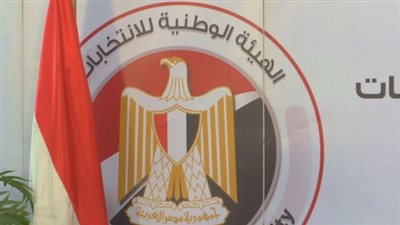إجراءات دقيقة لإعلان نتائج الانتخابات والطعن على قرارات الهيئة الوطنية المصرية