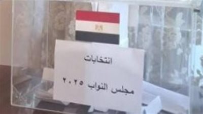 الحالات تؤدى لبطلان صوتك في انتخابات مجلس النواب المصري