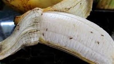 كيف تتخلصين من الهاموش فى منزلك 