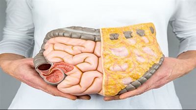 الفرق بين القولون العصبي وسرطان القولون.. أوجه التشابه والاختلافات