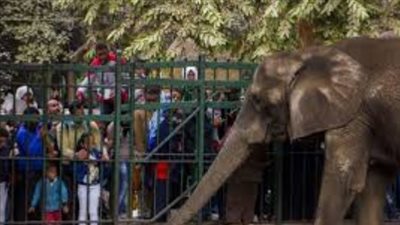 حديقة حيوان الجيزة الجديدة.. إطلالة حضارية منتظرة في 2026