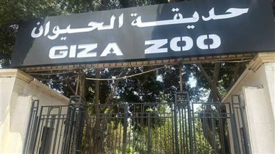 موعد افتتاح حديقة حيوان الجيزة 2026 وتردد قناة ناشيونال جيوغرافيك الجديد