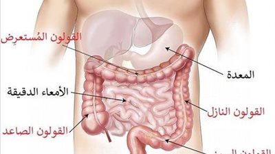 علاج متلازمة القولون العصبي.. علاجات دوائية ونفسية
