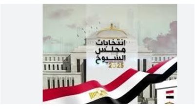 نتيجة انتخابات مجلس الشعب 2025: بدء فرز الأصوات في 13 محافظة بعد انتهاء المرحلة الثانية