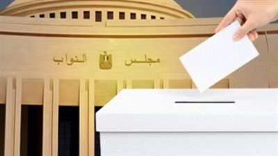 ساعة الصفر: اللجان العامة تبدأ تلقي الطعون الانتخابية تمهيدًا لنتيجة انتخابات مجلس النواب
