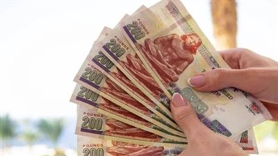 بعد تثبيت أسعار الفائدة: تفاصيل شهادات الادخار بنك مصر الجديدة ذات العائد اليومي