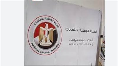 الصمت الانتخابي والإعادة: تفاصيل تصويت المصريين في الخارج والداخل للمرحلة الثانية