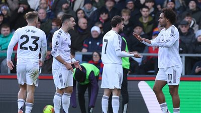 بعد 9 أشهر.. مانشستر يونايتد ينهي سلسلة كريستال بالاس الخرافية على أرضه