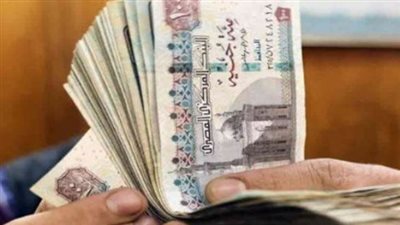 بطاقة الدعم سارية أو مجمدة؟ كل ما تريد معرفته عن استعلام تكافل وكرامة بالرقم القومي