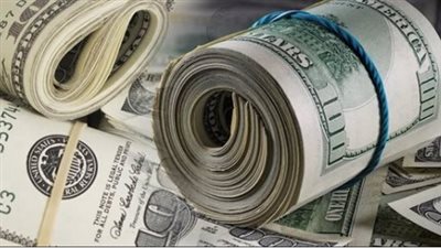 ما سعر الدولار داخل البنك المركزي؟