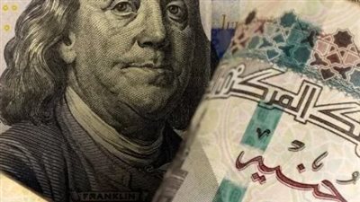 47.55 جنيهًا للشراء: أعلى سعر للدولار اليوم في البنوك المصرية