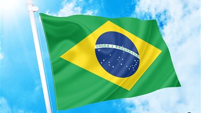 نجل بولسونارو يعلن رسميًا ترشحه لرئاسة البرازيل بدعم مباشر من والده