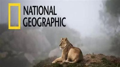 تردد قناة ناشيونال جيوغرافيك الجديد على نايل سات (NileSat)