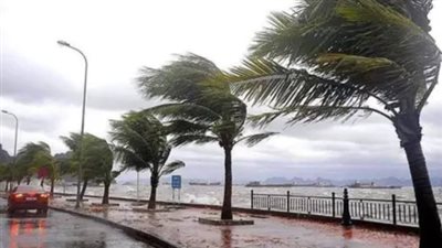 اضطراب الملاحة البحرية: تفاصيل موجة التقلبات الجوية وانعكاساتها على الطرق والمحافظات المصرية