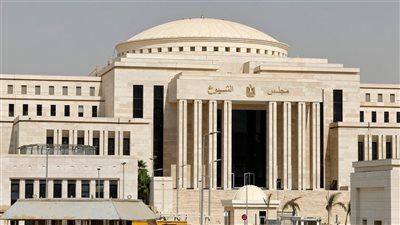 يناقشه مجلس الشيوخ.. نص تعديلات قانون المهن الرياضية في مصر