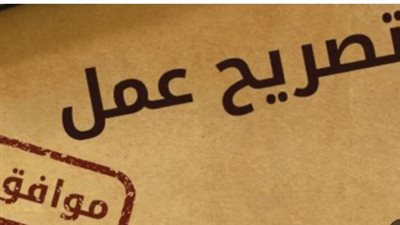 وداعًا للازدحام: كيف تُحسن ميكنة تصاريح العمل جودة الخدمات الحكومية في مصر؟