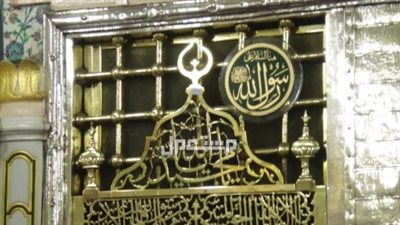 دليل نُسك 1447هـ: 7 خطوات سريعة لاستخراج تصريح زيارة الروضة الشريفة إلكترونيًا