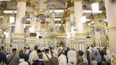 العدالة في الزيارة: دور رقمنة التصاريح في إدارة الأعداد داخل الروضة الشريفة