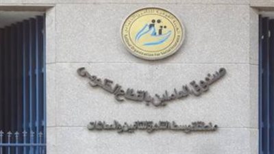 أصحاب المعاشات في مصر: تحذير هام من التأمينات بضرورة تحديث بياناتكم أولًا بأول