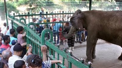 حديقة حيوان الجيزة 2026: إعادة تصميم بيوت الحيوانات وحفظ المعالم التاريخية الثمانية