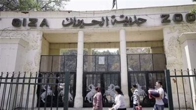 تذكرة حديقة الحيوان 2026: هل سترتفع الأسعار وما هي الخدمات الجديدة التي تقدمها الحديقة؟