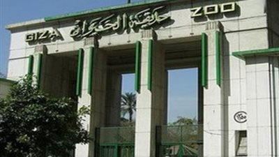 ما هي القبة الزجاجية؟ أنشطة ومغامرات جديدة لمحبي حيوانات الميركات والليمور في حديقة الحيوان