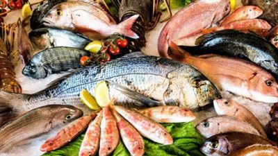 أسعار الأسماك والجمبري اليوم الإثنين 15_ 12_ 2025 