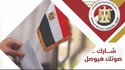 دليلك الكامل لـ التصويت في مرحلة الإعادة لـ انتخابات مجلس النواب 2025: خطوات صحيحة لضمان سلامة صوتك