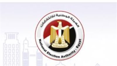 صوتك يحدد النتيجة: الناخب المصري.. إليك كيفية التصويت في مرحلة الإعادة وتجنب البطلان