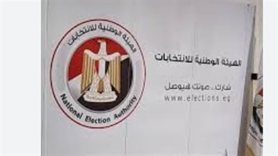 تيسيرات خاصة لكبار السن وذوي الإعاقة في لجان انتخابات مجلس النواب 2025