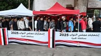 بإشراف قضائي كامل.. الهيئة الوطنية للانتخابات تطلق خدماتها الرقمية لتسهيل التصويت