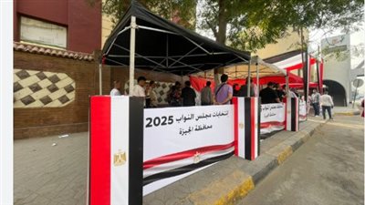خريطة لجان انتخابات النواب 2025: كل ما تريد معرفته عن مقار الاقتراع والدوائر