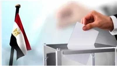 دليلك الذكي للمشاركة في الاستحقاقات الدستورية القادمة.. أهمية الاستعلام ومعلومات يجب معرفتها