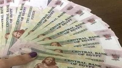  موعد معاشات شهر يناير وزيادة الحد الأدنى للأجر التأميني