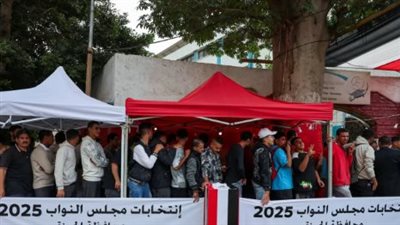 انطلاق جولة الإعادة بانتخابات مجلس النواب 2025: استنفار أمني وتفاصيل الـ 55 دائرة بـ 13 محافظة