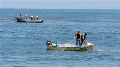 قانون تنظيم البحيرات والثروة السمكية الجديد: ضوابط صارمة لحماية الشواطئ وشروط استخراج تراخيص الآلات