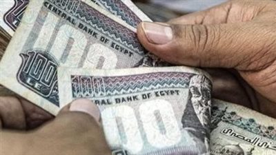 التأمينات تعلن جدول صرف معاشات يناير 2026 وحقيقة رفع الحد الأدنى