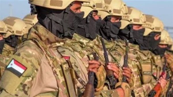 استراتيجية “الحزم والحسم” الجنوبية.. كيف تكسر القوات المسلحة شوكة الإرهاب وتؤمن مستقبل الدولة؟