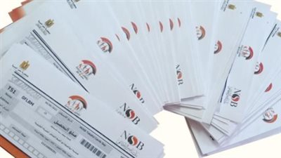 الفئات المستحقة لمعاش تكافل وكرامة 2025.. هل أنت ضمن القائمة؟