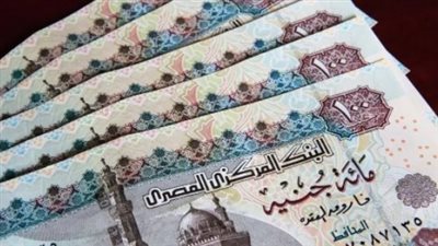 خطة التضامن لعام 2025: توسيع مظلة تكافل وكرامة لتشمل فئات جديدة