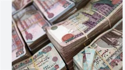 بالدرجات الوظيفية.. تعرف على قيمة مرتبك في ديسمبر 2025 بعد الزيادات الأخيرة