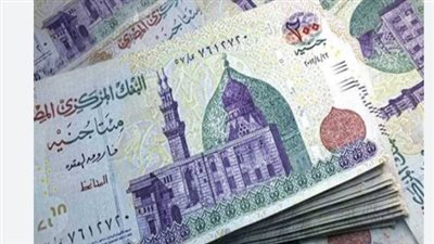 مستقبل الأجور 2026.. ماذا يعني استقرار الجنيه لمرتبات العاملين بالدولة؟