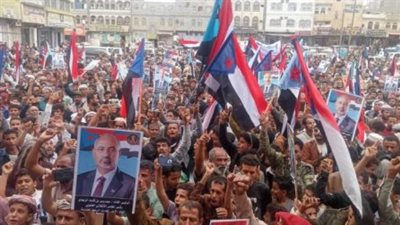 مؤسسات الجنوب العربي: الشريك الموثوق دوليًا في مكافحة الإرهاب وتأمين باب المندب